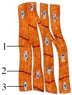 ; width: